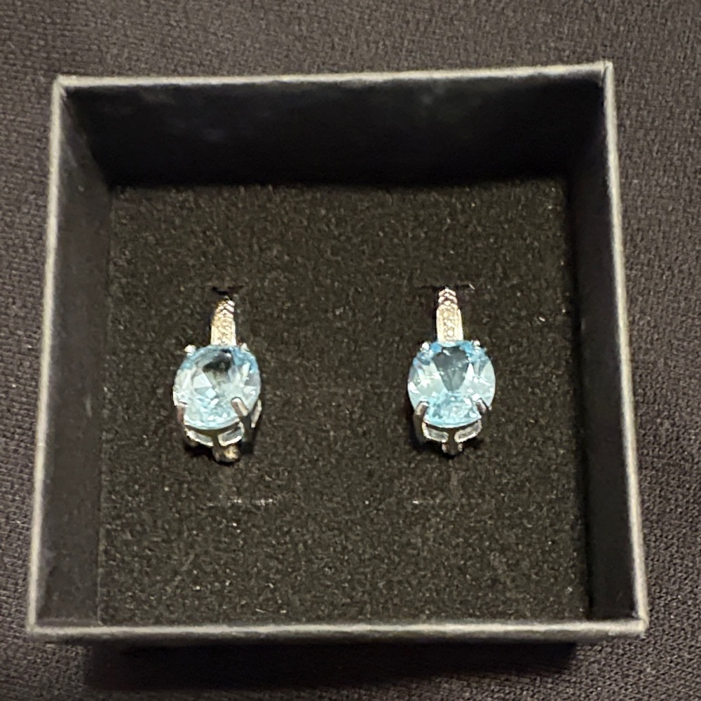 Elegant Blue Topaz Earrings